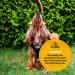 Hey Pets Beef Head for Dogs - 500g Natural Cereal-Free Chews | Ideal for Tooth Cleaning | 14cm Pieces | 100% Natural & Untreated - Buy Online on GoSupps.com