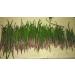 7 Red Mangrove Aquarium Fish Plants & Mangrove Seeds - Ideal for Aquatic Aquariums | International Shipping - Buy Online on GoSupps.com