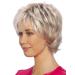 Buy Degenhardt Wig BR GGE Deluxe Plus | High-Quality Synthetic Hair in Copper Maroon & Brilliant Titanium Grey | International Shipping Available - Buy Online on GoSupps.com