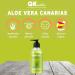 ALOE VERA DE CANARIAS BIO DERMO GEL - Hydratant naturel - Id al pour les peaux irrit es apr s l' pilation et le rasage les coups de soleil et les piq res d'insectes 250 ml (Lot de 1) - Buy Online on GoSupps.com