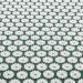 Sivan Acupressure Mat & Pillow Set for Back and Neck Pain Relief - Chronic Pain Treatment for Lower & Upper Back, Sciatica - Green - Buy Online on GoSupps.com