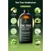 Tea Tree Hair and Body Moisturizer - Hydrating Lotion with Peptides Coconut & Avocado Oils - Daily Leave-In Conditioner for Men & Women - 8 oz - Buy Online on GoSupps.com