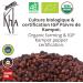 Khla - Poivre Rouge de Kampot Certifi Bio 200 g - Sachet Poivre en Grains Biologique - Grand Cru Doux & Fruit - Ingr dient Cuisine - Direct Producteur - pice Asie - Origine Cambodge - Buy Online on GoSupps.com