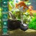 Number-One Submersible Water Pump 90GPH(350L/H 4W) Water Fountain Pump Portable Water Pump Submersible Pump with 5.9ft Power Cord 2 Nozzles for Fish Tank Aquarium Statuary Hydroponics - Buy Online on GoSupps.com