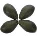 Warmhm 12 Pcs Imitation Avocado Desktop Avocado Ornament Toys for Kids Plastic Fruit Avocado Model Decorative Avocado Kid Toys Fake Fruit Fake Vegetables Grape Child Feel Glue - Buy Online on GoSupps.com