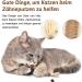 Altcompluser Catnip Sticks - 4 Pack Dental Care Set for Cats | Organic Tartar Removal & Fresh Breath | Durable Cat Chew Toys - Buy Online on GoSupps.com