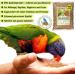 Dried Mealworms 5.5L - Premium Insect Snack for Birds Fish Turtles Rodents & Reptiles | EWL Natural Products - Buy Online on GoSupps.com