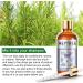 Heytree Rosemary Oil 100% Pure & Natural - 100ml Therapeutic Grade for Hair Growth Skin & Nails | Aromatherapy Diffuser Oil - Buy Online on GoSupps.com