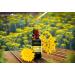 Buy 100% Pure Helichrysum Essential Oil - Therapeutic Grade for Aromatherapy & Topical Use | 10 ml - International Shipping Available - Buy Online on GoSupps.com