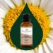 Buy 100% Pure Roman Chamomile Essential Oil - 30 mL Therapeutic Grade | Plant Therapy | Natural Aromatherapy | International Shipping - Buy Online on GoSupps.com