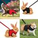 2-Pack Adjustable Pet Dishes & Leash for Rabbits Squirrels Bunnies Ferrets & Chinchillas - Ideal for International Shipping - Buy Online on GoSupps.com