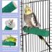 Stainless Steel Bird Food Bowls - 2pcs Hanging Feeding Cups for Parrots & Birds - Buy Online on GoSupps.com