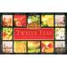 Ahmad Tea Twelve Teas - Assortiment de 12 types de th noir et de th vert aux saveurs diff rentes - 60 sachets de th emball s individuellement scell s avec ar me et avec ruban 120g de th