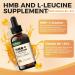 Q'ankyaq Leucine HMB Liquid Supplements Sugar Free HMB L-Leucine Liquid Drops for Adults Seniors Leucine Amino Acids Supplement Muscle Support & Workout Recovery High Absorption Vegan 2 Fl Oz - Buy Online on GoSupps.com