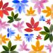 100pc Mornajina Petal Mosaic Tiles - Colorful Mixed Glass Pieces for Crafts - Buy Online on GoSupps.com
