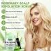 Traitement Gommage Cuir Chevelu au Romarin et Menthe Rafra chissante & Huile de Romarin pour Cheveux & Brosse Massante - Cuir Chevelu Gras et Pelliculaire Soin Capillaire Doux pour des Cheveux Forts - Buy Online on GoSupps.com