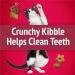 Friskies Party Mix Cat Treats Mixed Grill Crunch with Real Chicken - 454 g Cannister (1 Pack) 454 g (Pack of 1) - Buy Online on GoSupps.com