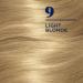Clairol Nice'n Easy 9 Light Blonde Hair Dye Pack of 3 - 6.26 Fl Oz | Permanent Hair Color - Buy Online on GoSupps.com