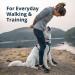 Shop Luffwear Front Range Dog Harness - Reflective Adjustable & Padded for Comfort | Blue Pool XXS | Perfect for Walks & Dog Races - International Shipping Available - Buy Online on GoSupps.com