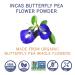 Incas USDA Organic Butterfly Pea Flower Powder - Non-GMO Blue Matcha Tea & Food Coloring from Thailand | Vegan - Buy Online on GoSupps.com