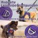 Rabbitgoo Small Dog Harness - Adjustable Anti-Train Robust Tactical Design with Metal Buckles - Perfect for Hiking (Purple) - Buy Online on GoSupps.com