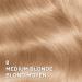 L Or al Paris Superior Preference 9 weeks of Luminous Fade-Defying Permanent Hair Dye 8 Medium Blonde 100% Grey Coverage 1 Hair Dye Kit (Packaging May Vary) Medium Blonde 1 count (Pack of 1) - Buy Online on GoSupps.com