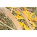 Trixie Hay roll with blossoms 500 g - 60798 - Buy Online on GoSupps.com
