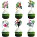 Blumomon 24-Piece Birds & Animals Cupcake Toppers - Parrot Picks & Cake Decorations for Kids' Birthday Parties - Buy Online on GoSupps.com