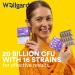 Wellgard Gutstar Probiotics - 16 Strain Probiotics for Gut Health with Fennel and Ginger Vegan UK Made - Buy Online on GoSupps.com