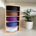 Brazilian Jiu Jitsu Belt Display | Pine Belt Box | BJJ Belt Rack for 5 Belts | from White to Black Belt Hanger | Martial Arts Belt Holder Case | Gifts for Jiu Jitsu Practitioners | OSS - Buy Online on GoSupps.com