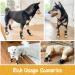 SCIROKKO Anti-Slip Dog Socks (3 Pairs) - Adjustable Pet Paw Protection with Golden Paw Pattern - Indoor Traction Control - Size L (Paw width 3.13 in) Black - Buy Online on GoSupps.com