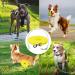 Waterproof Dog Leash - Chew Proof Tie-Out & Training Leash (15m Yellow) - Durable Comfortable & Ideal for All Dogs - Buy Online on GoSupps.com