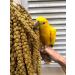 Nemeth Farms Spray Millet: GMO-Free Bird Treat & Supplement 1lb - No Stems, Only Edible Tops for Parakeets, Cockatiels, Lovebirds & Finches - Buy Online on GoSupps.com