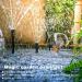 Saim 8-Piece Fountain Set for Water Garden - Versatile Pump Nozzles & Case for International Shipping - Buy Online on GoSupps.com
