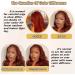 Reddish Brown #33 28 Inch Body Wave HD Lace Front Wig | 180% Density Brazilian Virgin Human Hair | Pre Plucked, Glueless & With Baby Hair | For Black Women - Buy Online on GoSupps.com
