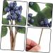 Zerodeko 25 Pcs Artificial Berry Cuttings Blue Decorations Christmas Tree Fake Berry Artificial Red Berry Stem Green Home Decor Blue Flowers Holly Berry Picks Branch Household Plastic Dark Bluex5pcs 18X7.5X3CMx5pcs - Buy Online on GoSupps.com