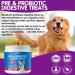 Dog Probiotics Chewables-Gut Health Probiotics - Support Gut Health Itchy Skin Seasonal Allergies and Yeast with Each Tasty Chew -Safe for Small Medium and Large Dogs-120 Pieces Chewable Probiotics - Buy Online on GoSupps.com