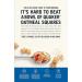 Quaker Oatmeal Squares Brown Sugar Cereal 21oz Family Size - Buy Online Now - Buy Online on GoSupps.com
