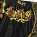 QinCiao Muay Thai Shorts for Men and Women - Black Medium | MMA Gym Boxing Kickboxing Fitness Trunks - Buy Online on GoSupps.com