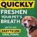 TropiClean Mint Foam for Pets 4.5oz | Freshens Breath | Made in USA - Buy Online on GoSupps.com