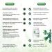 Helinorm Metabiotics with Pylopass | Vegan Supplements for Helicobacter Pylori & Gastritis Relief | 30 Capsules Made in Germany - Buy Online on GoSupps.com