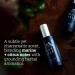 Oars + Alps Venture Cologne and Body Spray Valentines Gifts for Him Blends Refreshing Citrus Notes with Grounding Herbal Aromatics TSA Friendly 1 Fl Oz - Buy Online on GoSupps.com