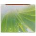SO'BiO tic Cosmebio Hydra Aloe Vera 5-in-1 Dermo Hypoallergenic Sensitive and Reactive Skin Defence Cream 50 ml - Buy Online on GoSupps.com