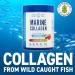 Applied Nutrition Marine Collagen Powder - Strawberry & Lemonade - 25 Servings - Buy Online on GoSupps.com