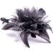 Flower Net and Feathers Fascinator On A Comb 9 Colours (Black) - Buy Online on GoSupps.com