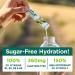 Stur Electrolyte Hydration Powder | Variety Pack 32 Count | Sugar Free, High Antioxidants & B Vitamins | Non-GMO | Keto, Paleo, Vegan | Daily Hydration & Workout Recovery - Buy Online on GoSupps.com
