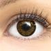 Dark brown color contact lenses choco dark brown very strongly covering silicone comfort novice from glamlens + container - 1 pair (2 pieces) - dia 14.00 - with strength -1.75 diopters -1.75 Dioptries 8.6 millimeters 14.00 millimeters 2.0