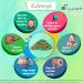 DivyaHerb Andrographis Kalmegh Powder - Natural Immune Boosting Supplement - Buy Online on GoSupps.com