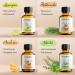 Woodfjord Sauna Infusion Set - Bio Natur | 4 Organic Sauna Fragrances & Oils Hygrometer Thermometer | Authentic Sauna Experience - Buy Online on GoSupps.com
