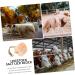 Ipetboom Animal Lick Salt Block Small Pets Lick Salt Horse Salt Lick Salt Lick Deer Salt Chew Treat Supplies - Buy Online on GoSupps.com